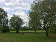 The Wellhead Gardens, Bourne. The Wellhead Gardens, Bourne.