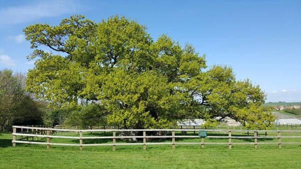 Bowthorpe Park Farm, Bourne