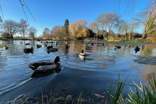St Peter's Pool in the Wellhead Gardens, Bourne St Peter's Pool, Bourne