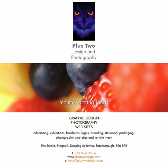 Plus Two Design - Websites and Graphic Design Plus Two Design - Websites and Graphic Design