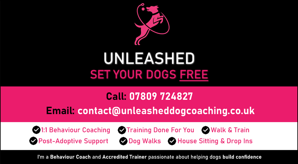 Unleashed, Bourne
