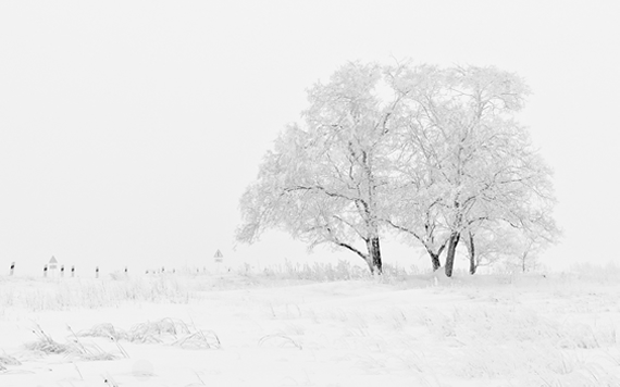 Snow in UK countryside