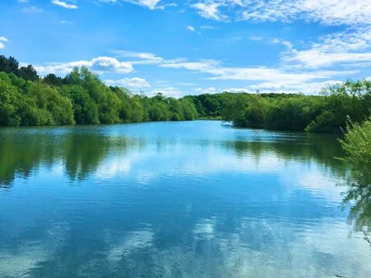 Stanton Pit Nature Reserve, Bourne