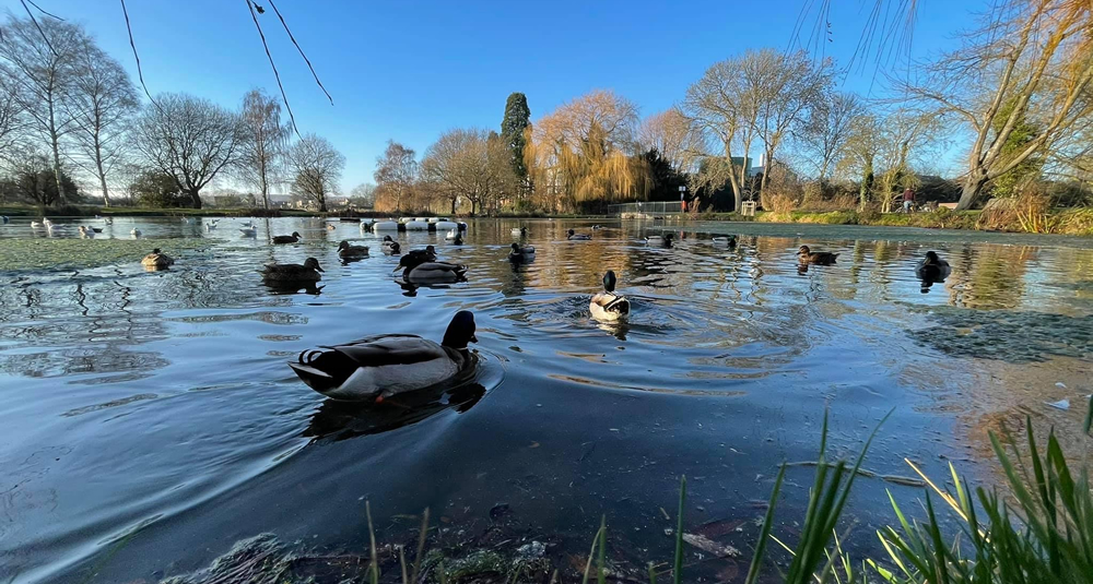 Bourne, Lincolnshire
