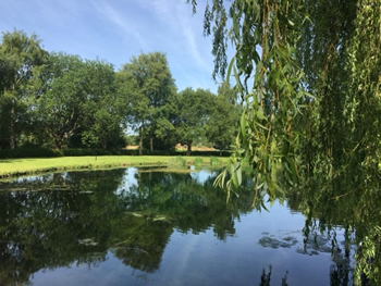 St Peter's Pool, Bourne